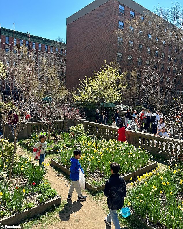 Supporters of the Elizabeth Street Garden have also launched a donation page to help them continue their efforts to rescue the much-loved space.