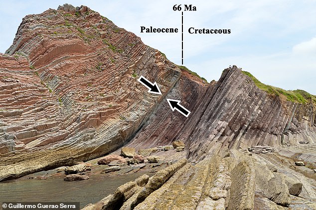 Today, the event is marked by a thin layer of sediment called the K-Pg boundary, which can be found around the world in marine and terrestrial rocks, dating back 66 million years (pictured, in Zumaia, Spain).