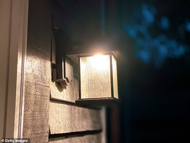 According to pest expert John Stewart, a common mistake could also unintentionally make homes more attractive to spiders: excessive lighting inside and outside your property.