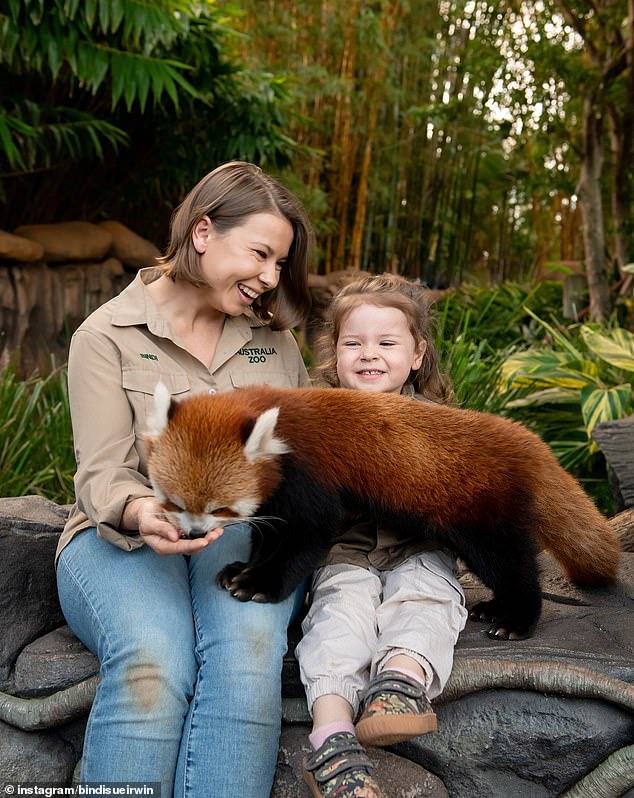 This comes after Bindi was accused of Photoshopping a red panda onto her three-year-old daughter Grace's lap in new images shared on her Instagram page.