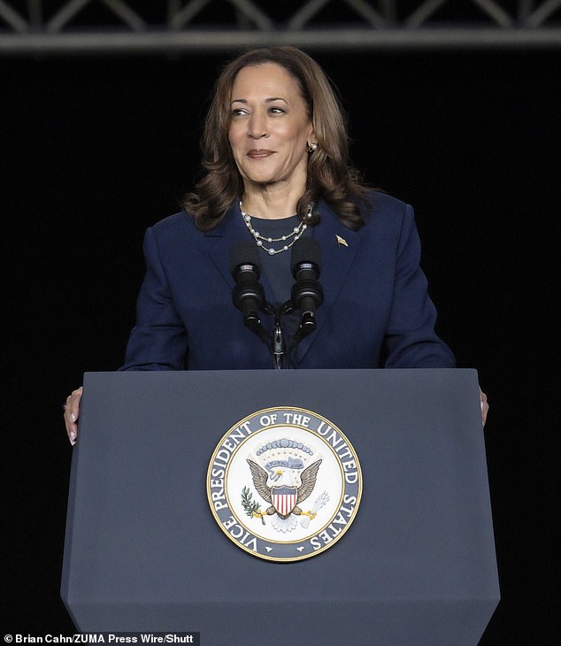 It's unclear exactly what Harris' tax proposals will be if she wins a White House term in November, but based on her past policies, business owners will almost certainly take a hit.