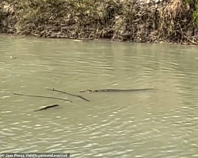 The frustrated tour operator said he watched in horror as a family fished just metres away from at least 10 crocodiles.