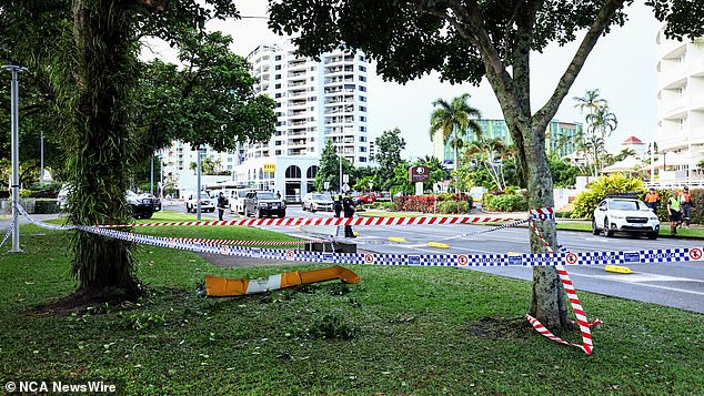 Part of the helicopter's rotor blade landed in a park across the Esplanade (pictured)