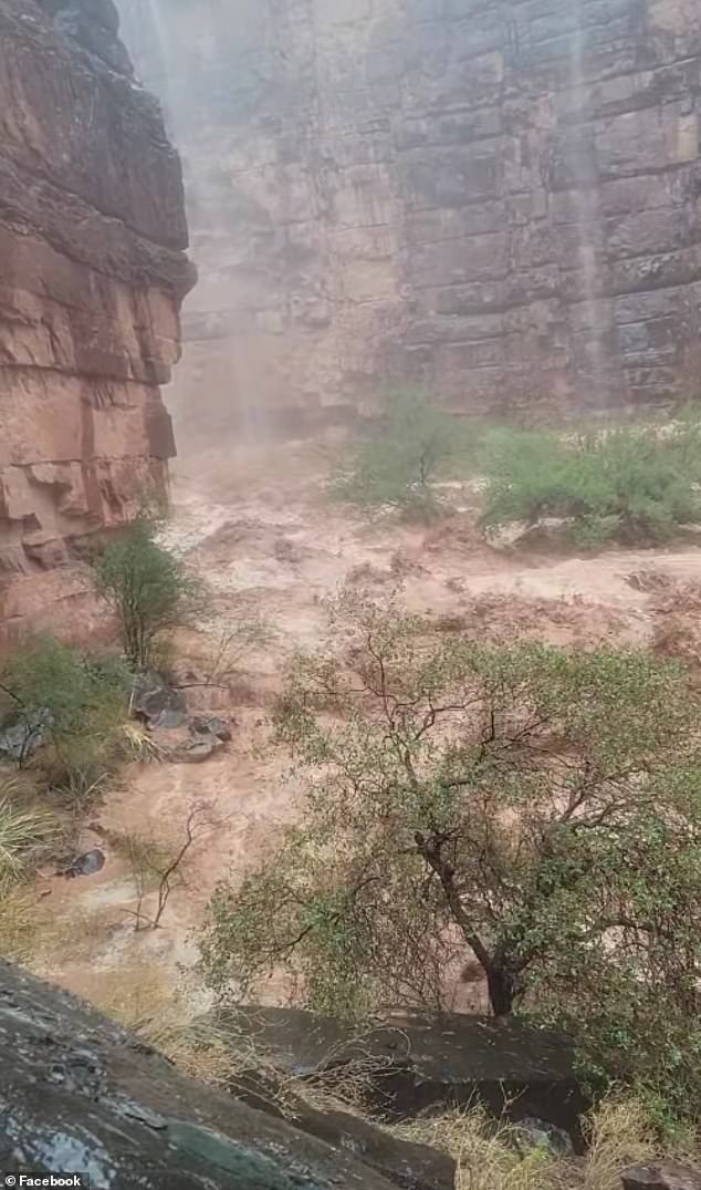 The hiker was swallowed by rising waters near Havasu Creek without a life jacket on Thursday. Here you can see the floodwaters sweeping through the area.