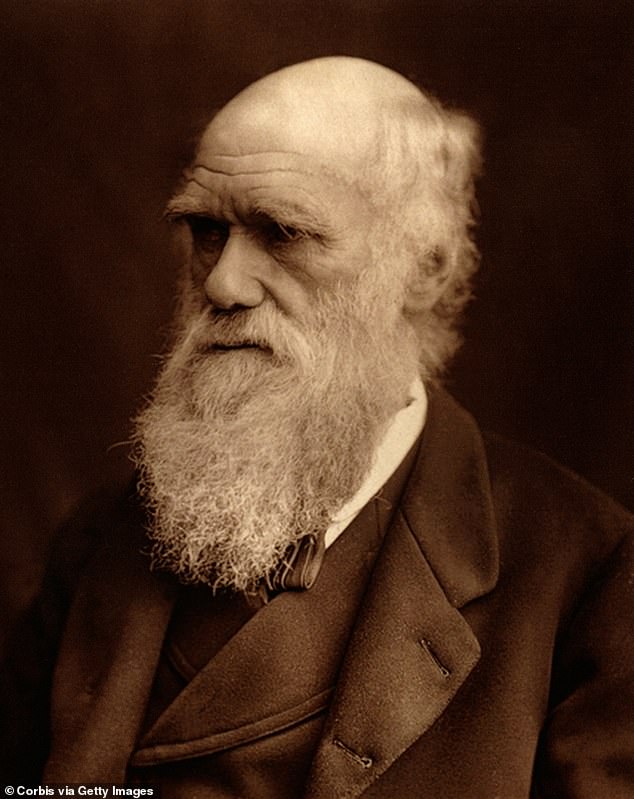 Many brilliant minds are known to have had nocturnal habits, including Charles Darwin.