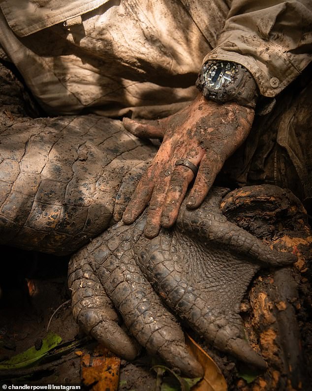 The 27-year-old former wakeboarder posted a close-up image on Instagram of his hand next to the enormous webbed foot of a crocodile that was almost three times his size.