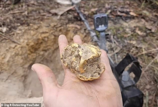 The gold nugget (pictured) was three feet underground and the father of two couldn't believe his luck.