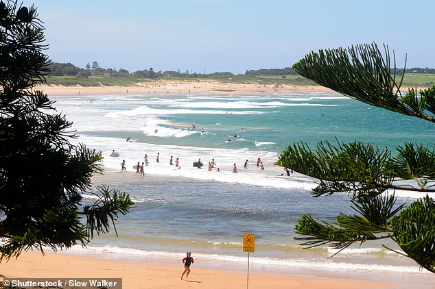 Northern Beaches Council has been notified of the graffiti and a spokeswoman said staff are working to remove it (stock image of Dee Why beach)