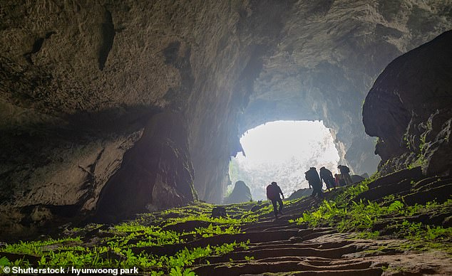 Son Doong Cave remained sealed for millions of years before being discovered by accident in 1990.