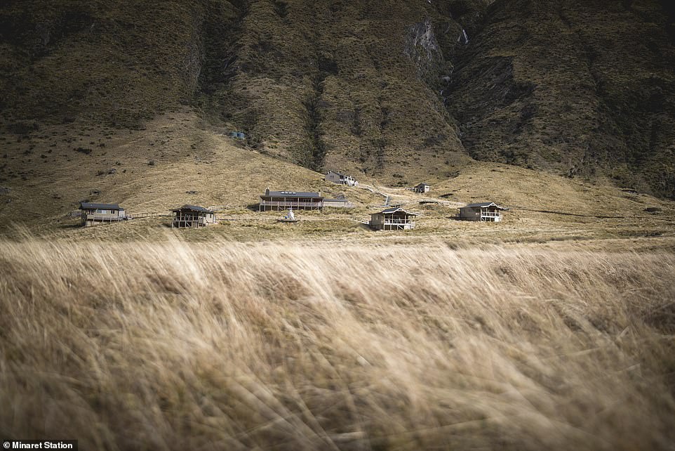 The lodge (above) sits 3,000 feet above sea level on a 50,000-acre working farm that is home to deer, sheep and cattle.