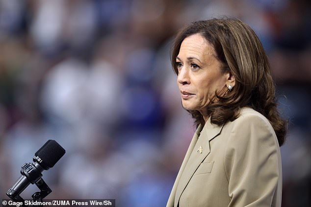 Vice President Kamala Harris speaks to the crowd at a rally at Desert Diamond Arena in Glendale, Arizona, on Friday