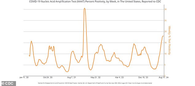 COVID-19 cases have been on the rise in recent weeks, which experts say is likely due to summer travel and gatherings.