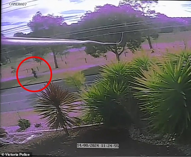 Police released the footage as the search for the jogger's attacker continues.