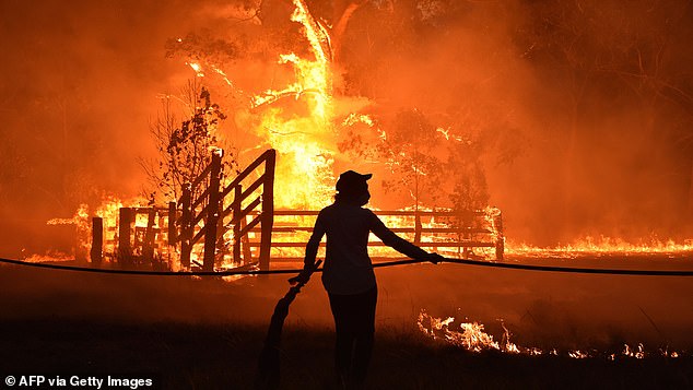 Unusually high temperatures combined with strong winds of more than 100km/h have fuelled the fires, prompting the NSW Rural Fire Service (RFS) to urge property owners to pause any planned burning (pictured: Residents defend a property from a bushfire in Hillsville near Taree, 350km north of Sydney on 12 November 2019)