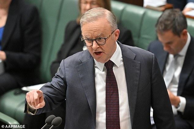 Anthony Albanese (pictured) has refused to confirm that supporting a terrorist organisation would result in potential Australian citizens failing the citizenship test.