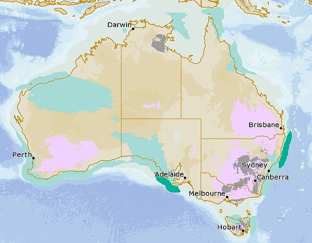 Frost is forecast for large areas from central Queensland to southern Victoria, as well as southern Western Australia, on Friday morning (Friday morning forecast pictured: frost marked in pink, fog in grey, rain in light green, possible thunderstorms in dark green).