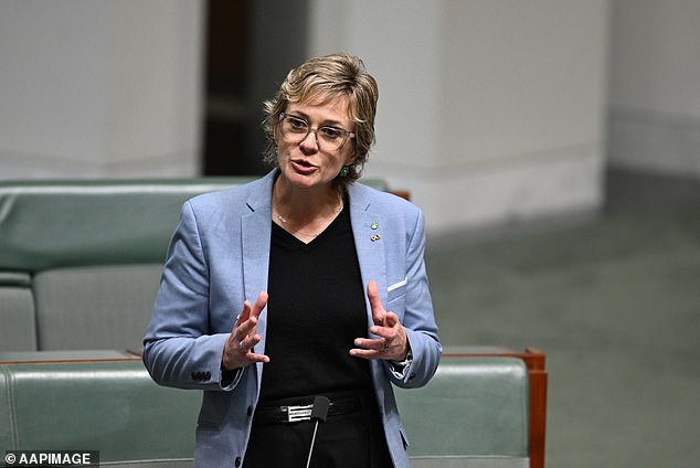 Teal MP Zali Steggall (pictured in the House on Thursday) criticised Dutton as 