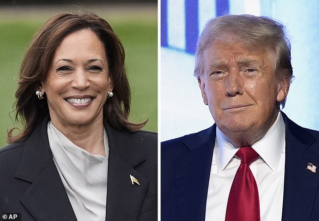 Professor Allen Lichtman believes Kamala Harris is on track to win the November election against Donald Trump despite the shakeup at the top of the Democratic presidential ticket