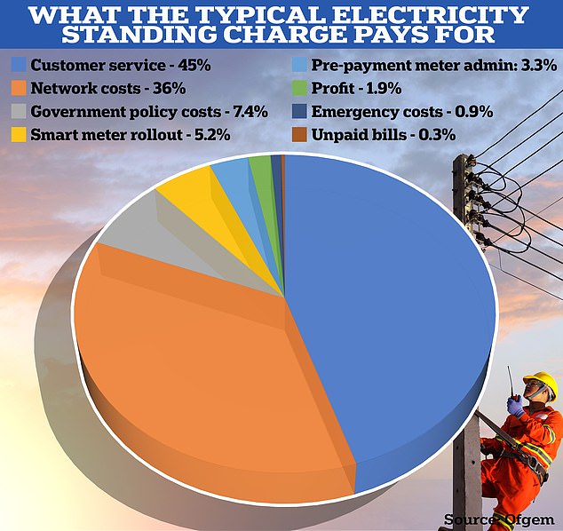 Breakdown: The fixed electricity charge covers things like customer service and the cost of running the power grid and operating meters.