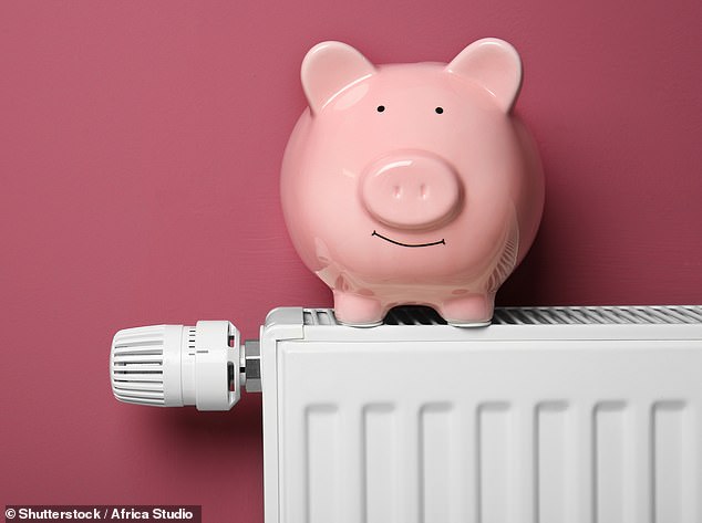 Increase: Energy bills are capped at £1,568 for a typical household, but are set to rise to £1,723 a year in October – an increase of £155 for a typical household