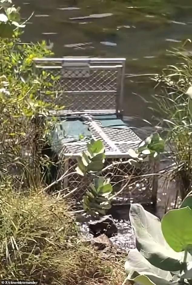 The woman filmed a video of the crocodile trap on the banks of the Ord River (pictured) before posting the clip on social media, sparking a stir among those heading to the area.