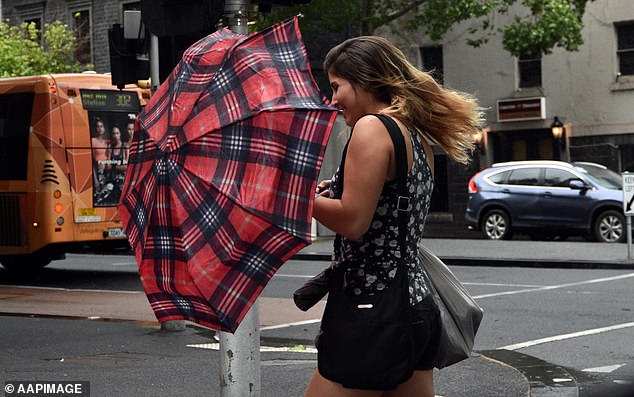 The Bureau of Meteorology has issued severe weather warnings for damaging winds for south-east Australia, with wind gusts of up to 130km/h possible (file image)