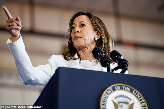 Harris said during her 2020 presidential campaign that if she were in the White House she would support ending Trump's 2017 tax cuts.