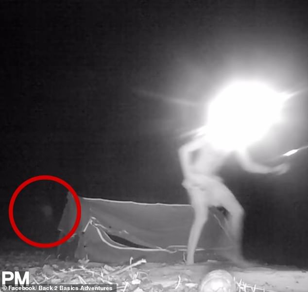 The figure was captured by a tracking camera that only starts filming due to movement or heat.