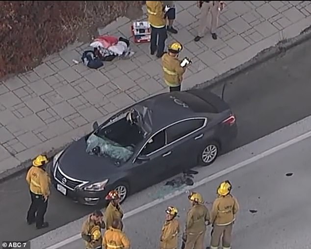 The man hit the Galindos' car so hard that it went through the windshield and hit Margarita while she was sitting in her seat.