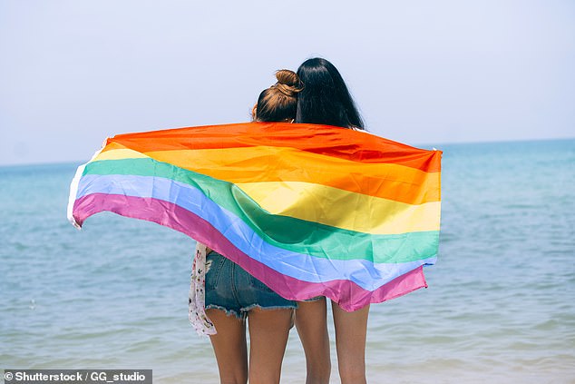 LGBTQIA+ families and library staff were surveyed (pictured, a couple with the LGBTQIA+ rainbow flag)