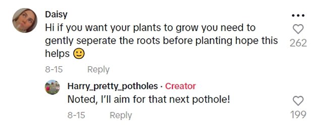 1725198271 694 A vigilant gardener fed up with horrible potholes plants flowers