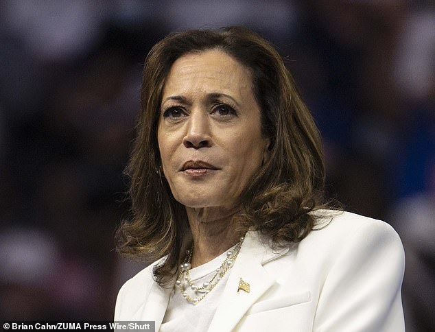 Many responses aimed to attack Vice President Kamala Harris's career path and claims that 