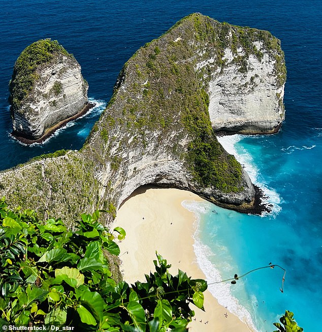 Ms Philip and her husband were among 11 other people who took part in the diving trip at Manta Point, a popular diving spot near Nusa Penida, Indonesia, on Saturday morning (file image)