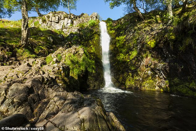 Head to Linhope Spout – this natural pool in Northumberland, with its own waterfall, is a divine place to swim.