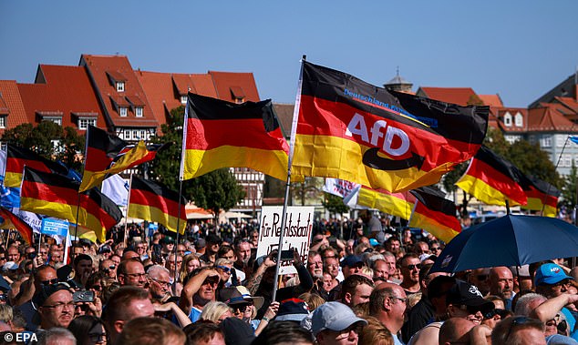 The far-right political party Alternative for Germany (AfD) has become the first of its kind to win in the country since World War II (file image)