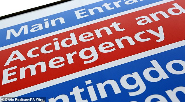 Many patients are giving up on trying to see their GP and are now going to the emergency room or self-medicating (file image)