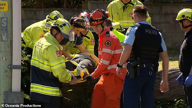 The SES has responded to more than 800 incidents related to destructive winds in the last 24 hours