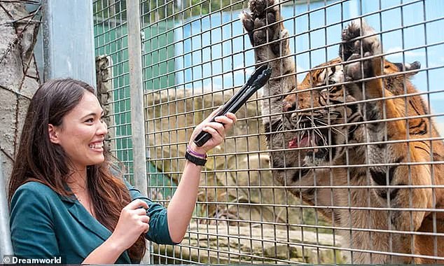 The veteran keeper was walking the five-year-old animal, which weighs 180kg, with another member of staff, when he was attacked (file image)