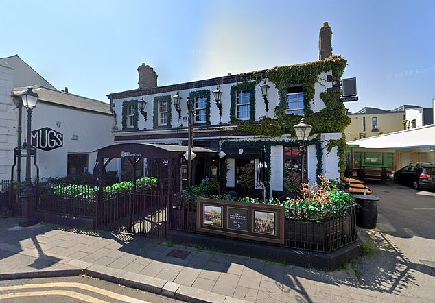 The Dalkey Duck pub is pictured. Buscemi had been eating at a nearby restaurant moments before the fight broke out.