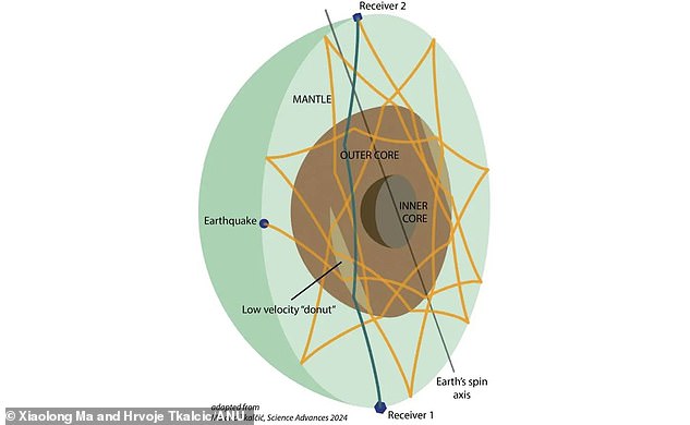 Researchers found a region hundreds of kilometers thick and thousands of kilometers deep that wraps around the equator in the shape of a torus (called 