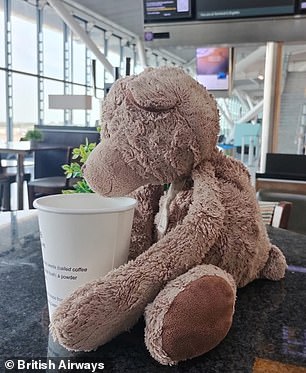 After landing in Dubai, the cabin crew took Postman Bear to meet Alex and the rest of the family in the arrivals area for a 