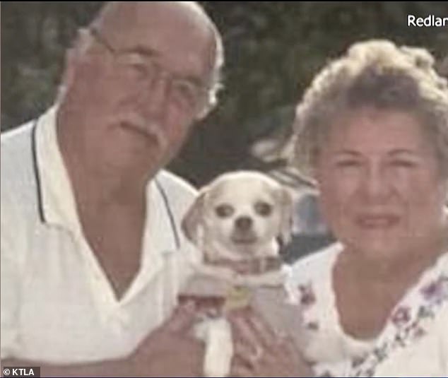 The couple's beloved dog, Cuddles, is still missing.