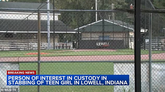 On Saturday at around 3:45 p.m. local time, the teenager was with her mother watching her brother play in a field in the unincorporated area of ​​Lowell, about 100 miles west of Chicago.