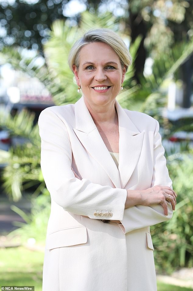 Who speaks for local Indigenous people has been a contentious issue in Environment Minister Tanya Plibersek's blocking of the location of a proposed dam for the McPhillamys gold project in New South Wales.