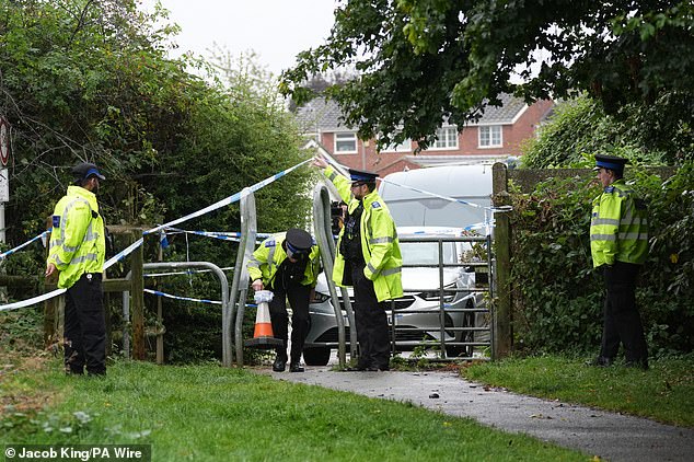 Police officers are seen entering and leaving the area of ​​the park where the alleged attack occurred.