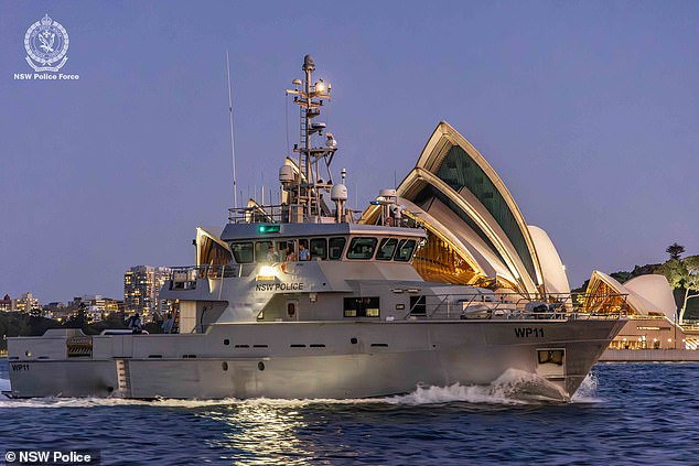 The Nemesis reached the sailors at around 3am on Tuesday, but they had to wait just over four hours for the weather to clear before they were able to rescue Brett and Lisa. (pictured, the Nemesis returns to Sydney Harbour on Tuesday evening with the rescued sailors)