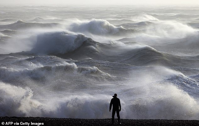 Heavy winter rain has allowed trees across the country to grow larger than usual. Pictured: Newhaven on January 2