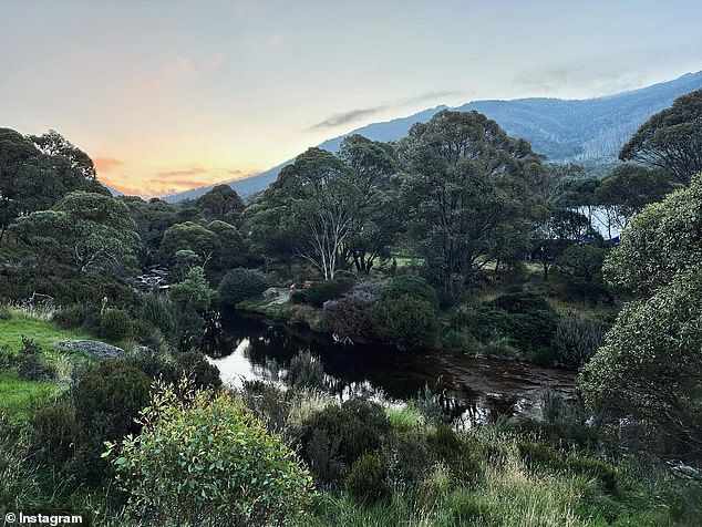 The region's vibrant landscape gives way to the Snowy Mountains in the distance.