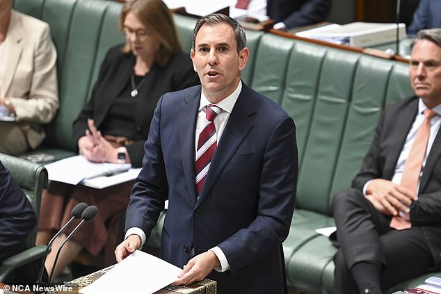 Dr Chalmers is pictured during Question Time in August.