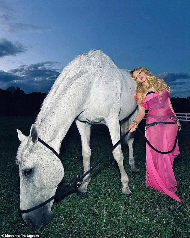 The singer wowed in the pink dress as she stood next to her horse in the evening.